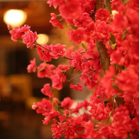 酒店 Broonklyn